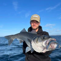 Westin Sandy Andy Weedless Jigs
